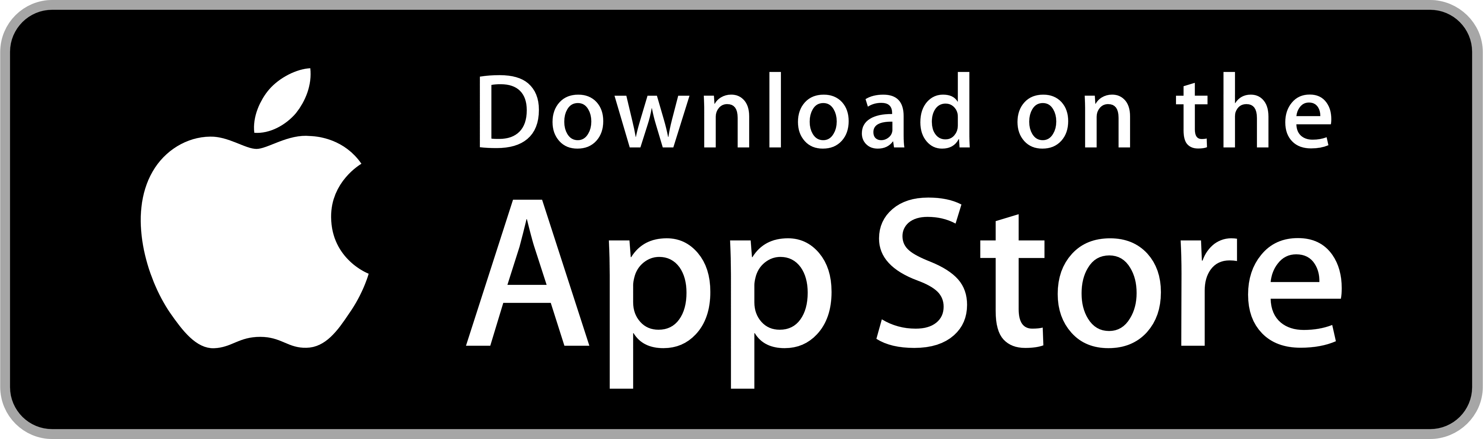 logo app store